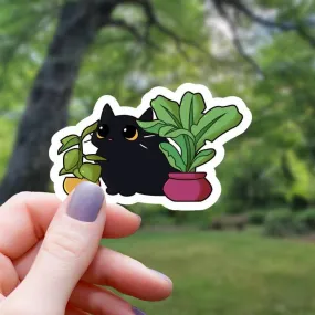 Black Cat Amongst Houseplants | Vinyl Sticker